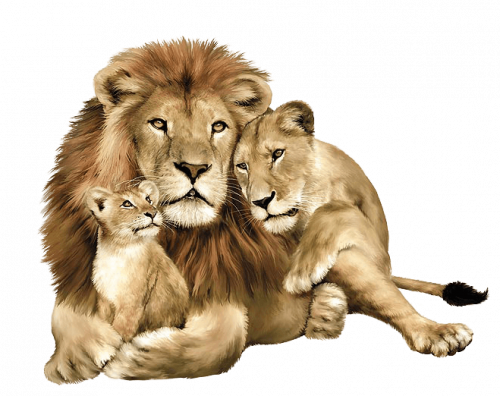 mother lion with kid